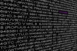 手机号码查询姓名,隐私保护与技术边界的探讨 手机号码查询姓名,隐私保护与技术边界的探讨