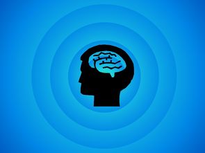 探索智慧的奥秘，免费智商测试的趣味与价值