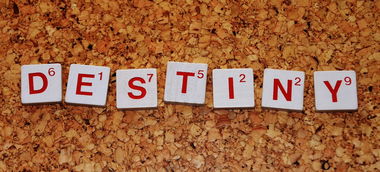 周易智慧，公司起名的艺术与科学