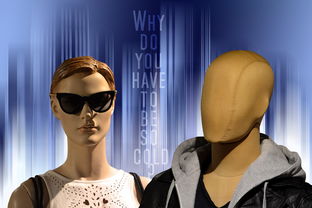 探索姓名配对，揭秘两人爱情结果的神秘面纱