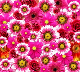 探索色彩与深度,打造色而有内涵的网名艺术 探索色彩与深度,打造色而有内涵的网名艺术