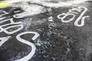 揭开命运的面纱,八字测名字算命的艺术与科学 揭开命运的面纱,八字测名字算命的艺术与科学