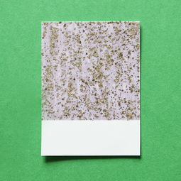 探索魅力，独一无二漂亮特殊符号的艺术与魔力