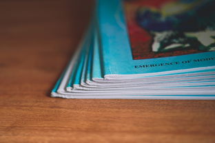 深入探索照字的多面性，从日常用语到文化象征