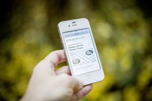 手机号码评分,揭秘背后的科学与迷信 手机号码评分,揭秘背后的科学与迷信