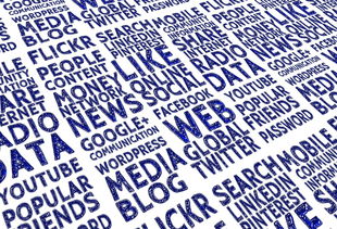 探索汉语拼音，理解雏字的发音与意义