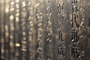 澡的拼音，探索汉字文化的奇妙之旅