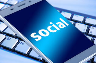 警惕,起名软件破解版App的风险与法律后果 警惕,起名软件破解版App的风险与法律后果