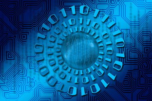 揭秘未来伴侣姓氏的奥秘,科学与直觉的结合