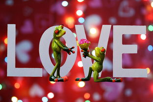 舞动青春,劲舞团情侣名字大全2023最新版