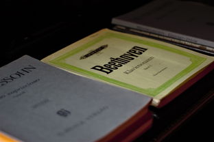 探索全国重复名字查询系统，了解、使用及重要性