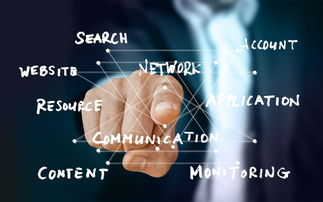 公司起名的艺术，免费评分工具的运用与价值