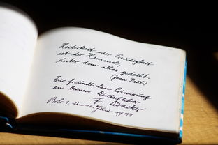 撵组词的艺术，如何巧妙运用撵字丰富你的语言