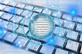 探索名字的力量，免费取名打分测试的奥秘与实践