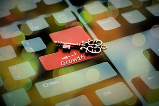 探索名字的力量,2021年名字打分免费测试的奥秘 探索名字的力量,2021年名字打分免费测试的奥秘