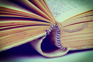 昵称的艺术，三个字的简单与纯净