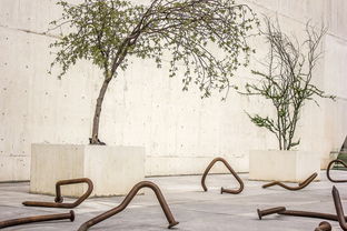 诗经中的女孩名字，古典之美的现代传承