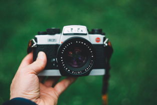 探索公司名字打分，免费工具与品牌命名的艺术