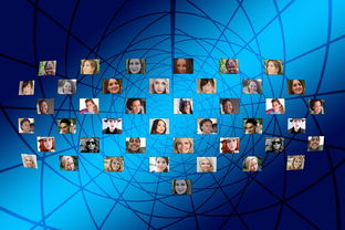 探索网络取名艺术,揭秘最佳在线命名平台 探索网络取名艺术,揭秘最佳在线命名平台