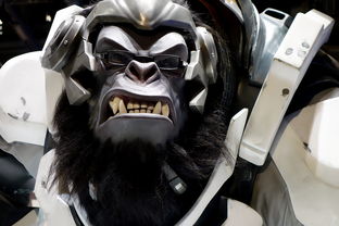 2022年游戏ID大全排行榜,探索玩家心中的热门游戏 2022年游戏ID大全排行榜,探索玩家心中的热门游戏