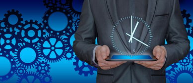 揭开企业面纱,公司查询的艺术与科学 揭开企业面纱,公司查询的艺术与科学