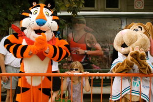 虎年吉祥2022年女宝宝取名，精选最佳字与寓意