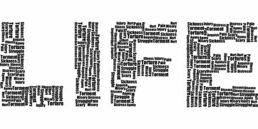 拽组词的艺术，如何用词汇的力量提升你的语言魅力