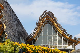 探索中国起名网官网，传统与现代的桥梁