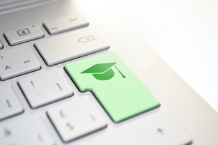 手写输入查字,新华字典的数字化便利